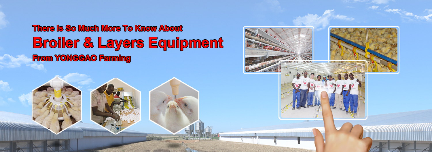 Broiler Farming Equipment