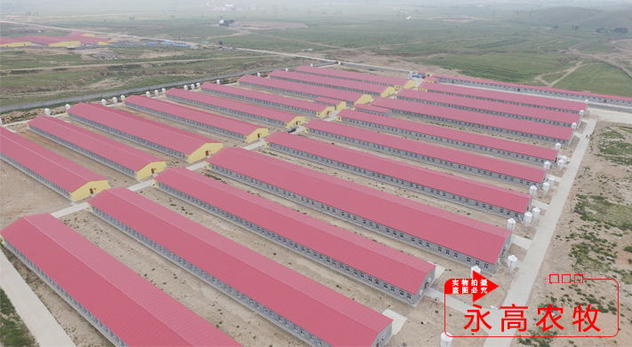 北京二商集团内蒙古猪场项目