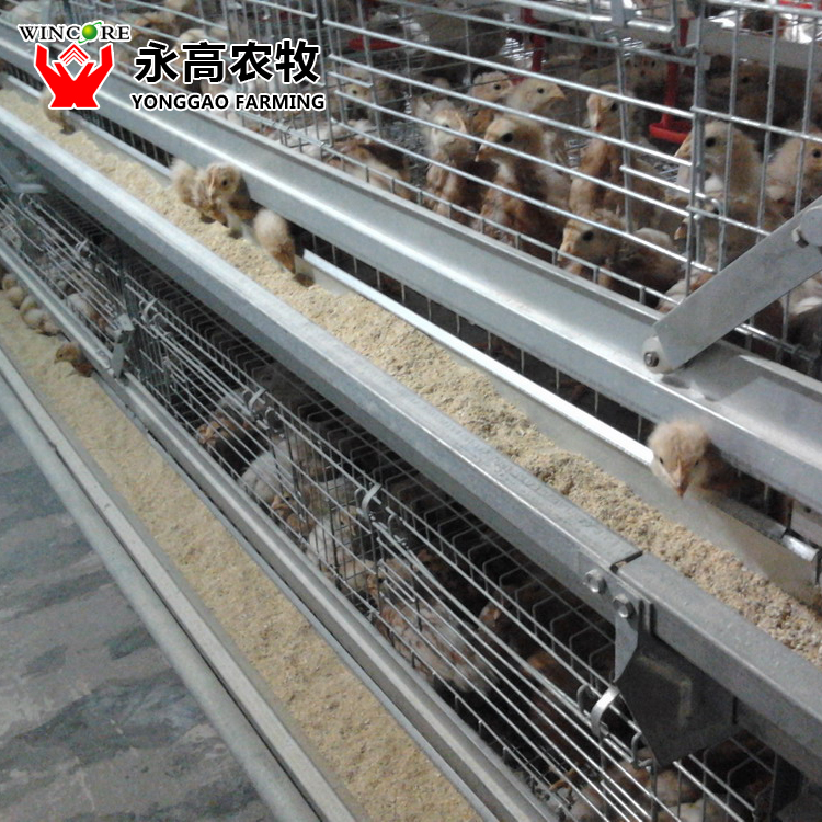 Baby Chick Cage System