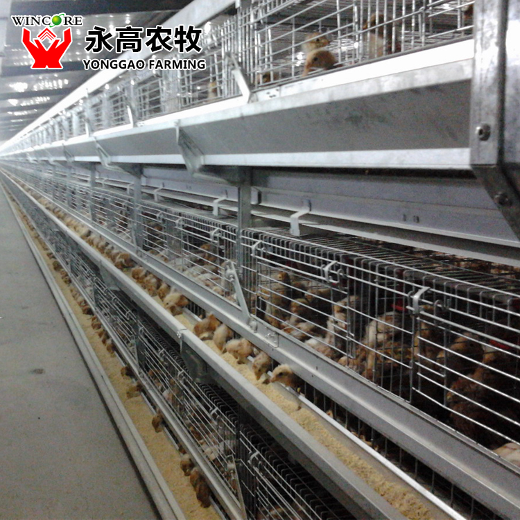 Baby Chick Cage System