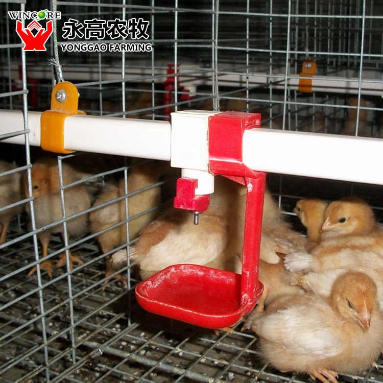 Baby Chick Cage System