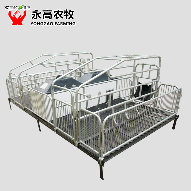 Pig Farrowing Crate