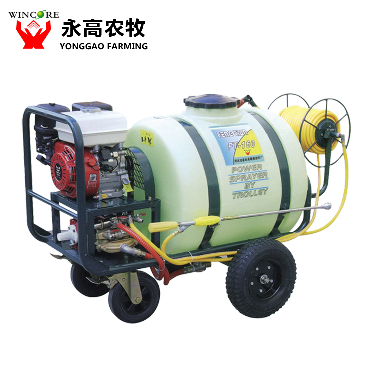 Disinfection sprayer for gasoline